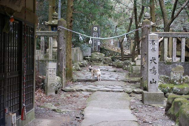 abandoned village